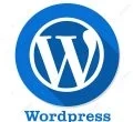 wordpress freelance digital marketing service in dubai