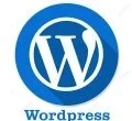 wordpress freelance digital marketing service in dubai